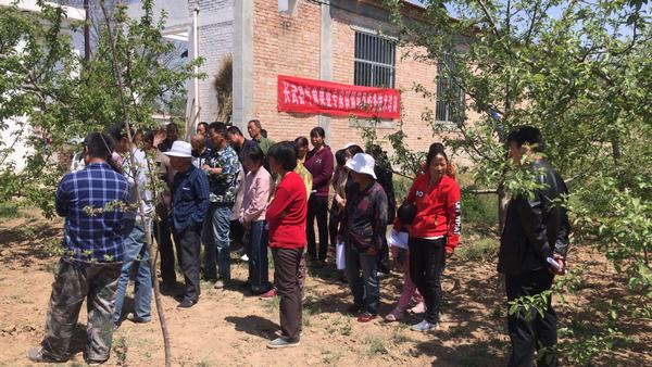 �����������ҵר������ƻ����������ѵ