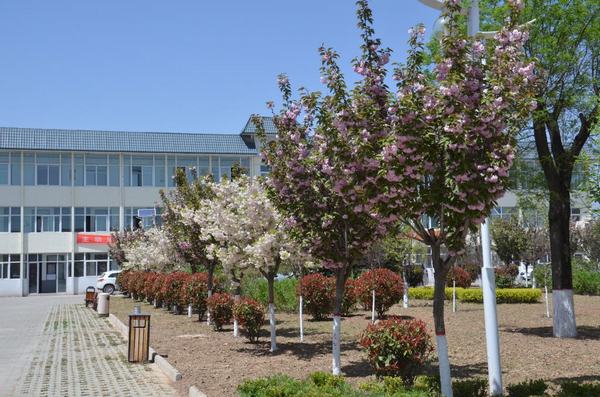 �������� ������԰