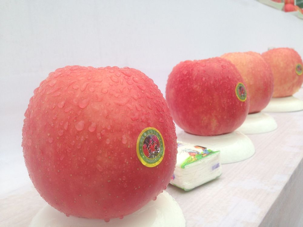 Ϊ����ƻ�����ԣ�Ϊ�������ʹ���